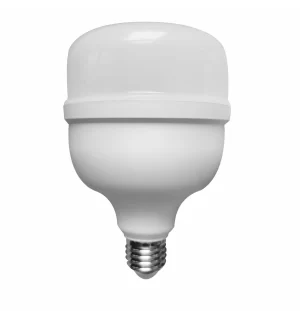 Lâmpada Led Bulbo 40W 6500K BIV RGLED